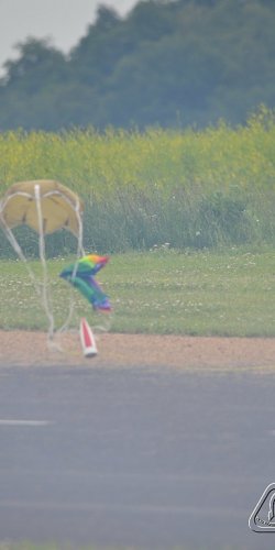 2013 Suche 29062013 Michal